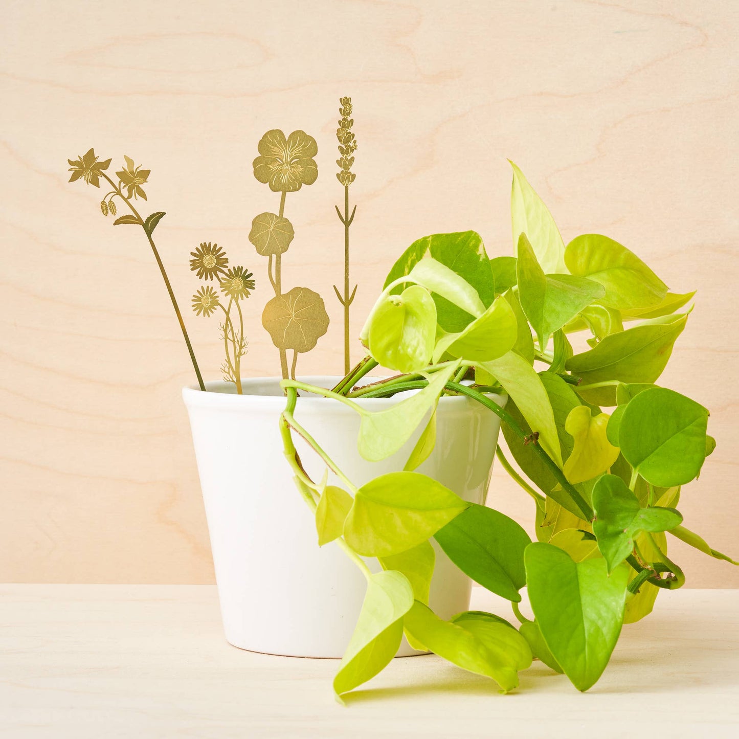A set of brass plant decorations in the shapes of various flowers to be decorations for your plant pots by Another Studio for Heart Gallery