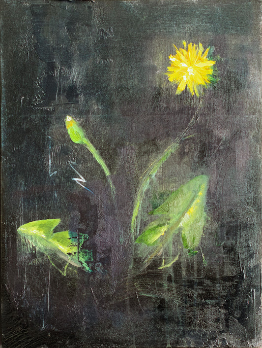 Cally Anderson - The Monk's Medicine