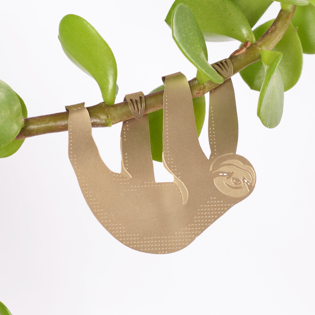 Gold sloth-shaped decorative item hanging from a branch with green leaves on a white background