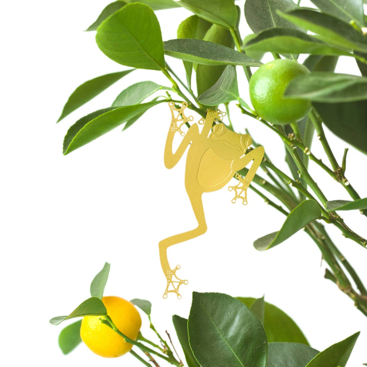 Braqss  frog figurine on a green plant with leaves and fruits.