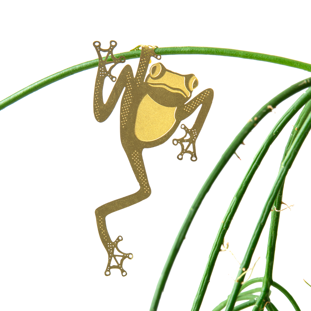 Gold frog ornament on a green branch against a white background