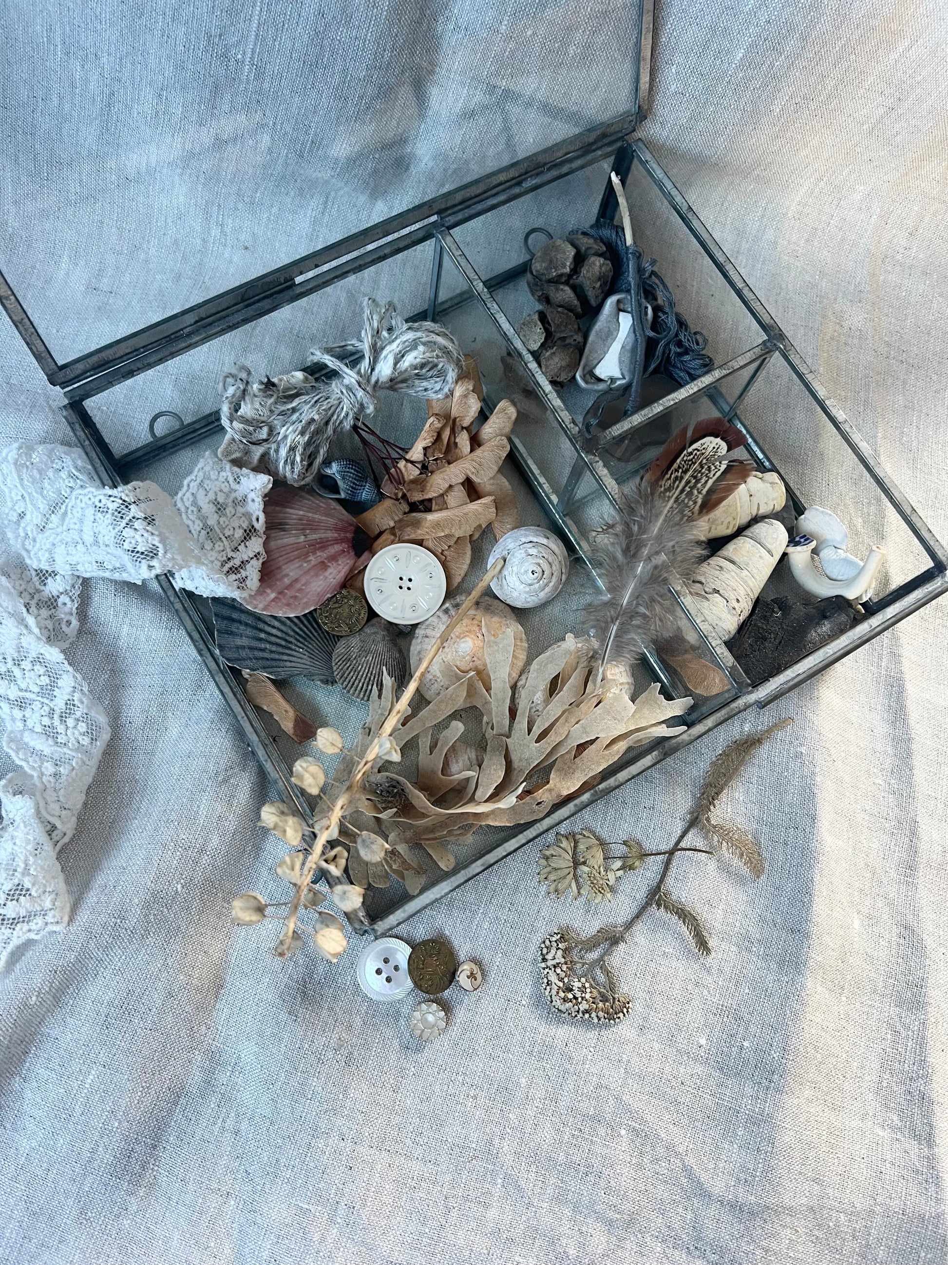 Decorative box with dried plants, buttons, and feathers on a textured fabric background