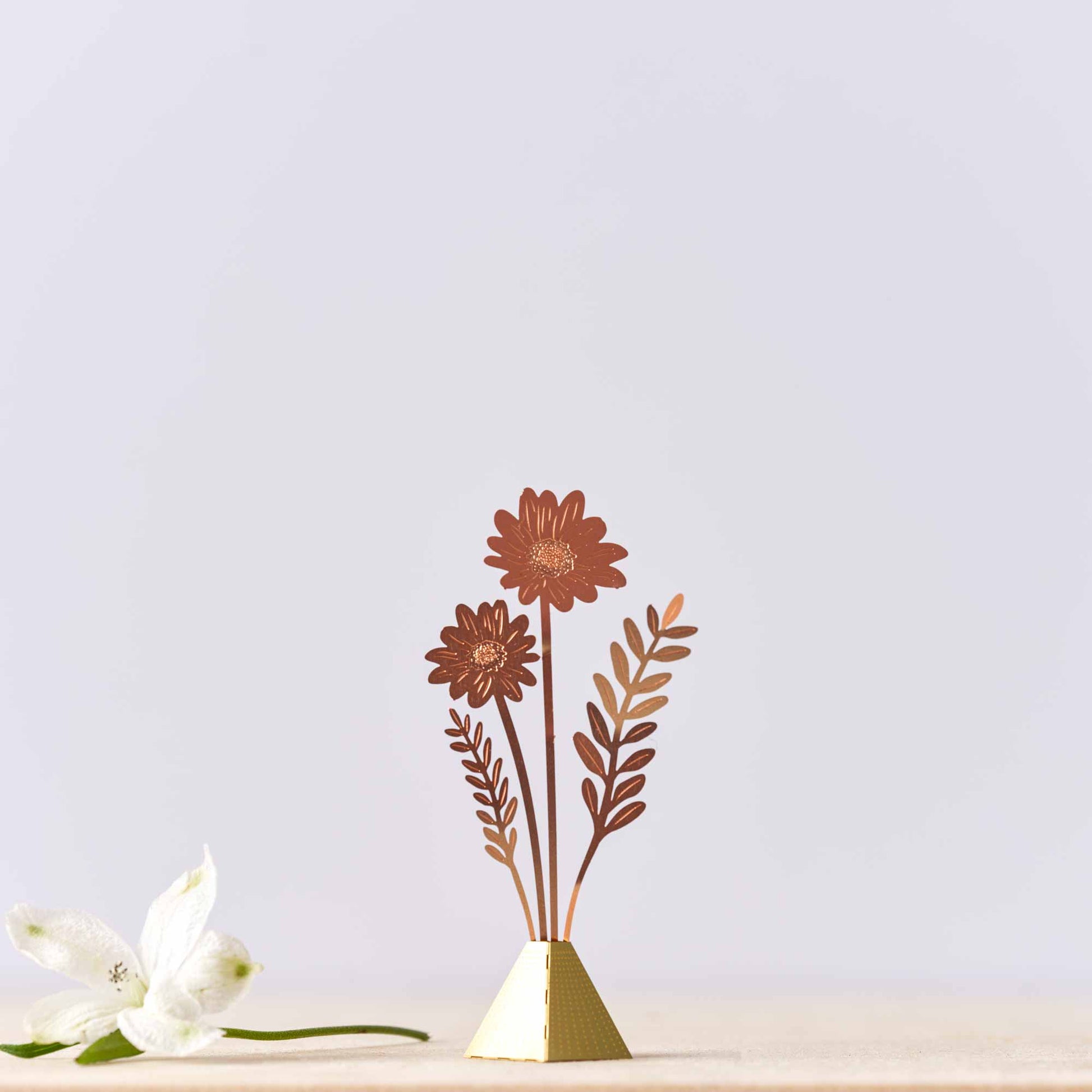 Cosmos vase by Another Studio for Heart Gallery