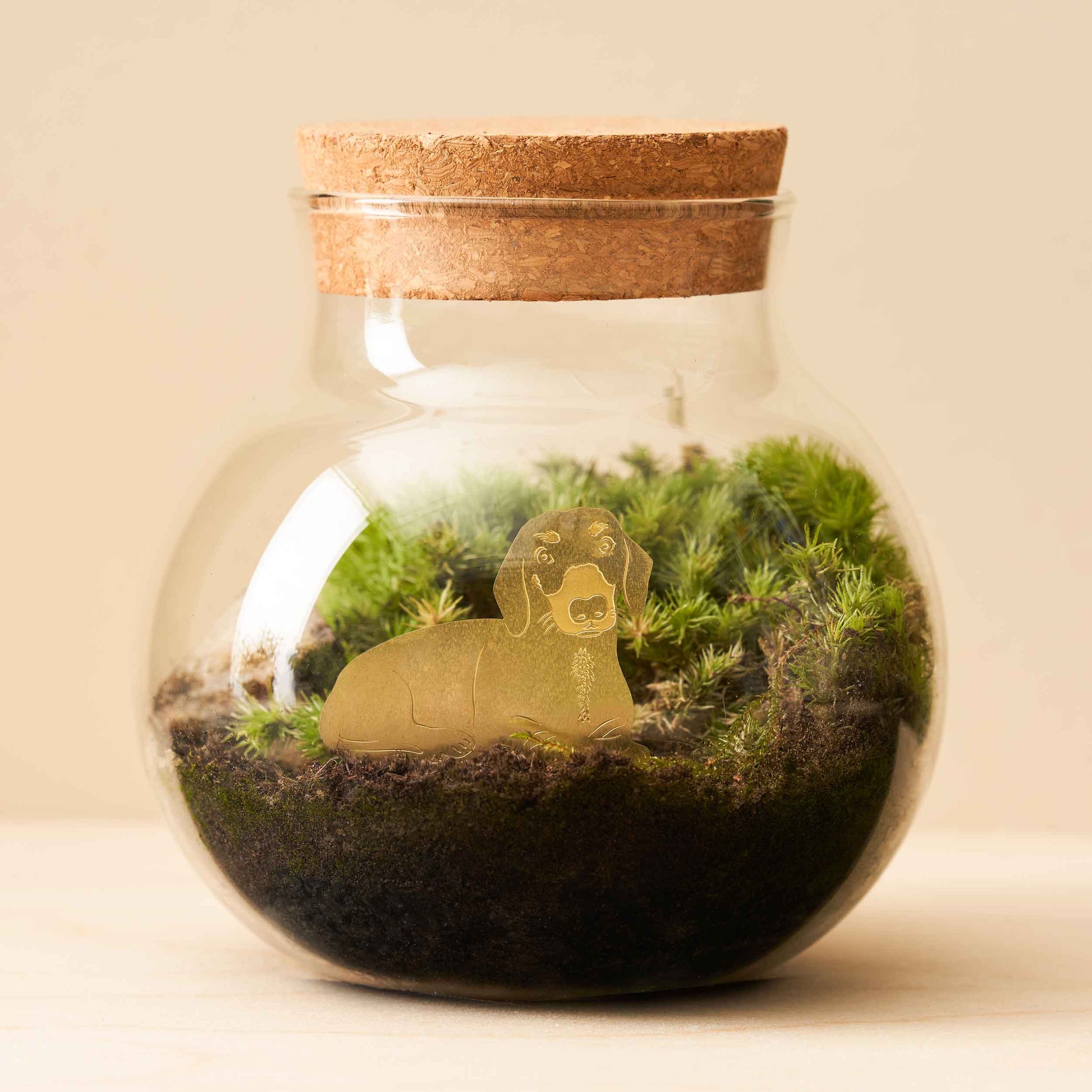 Dachshund plant animal decoration in a small terrarium