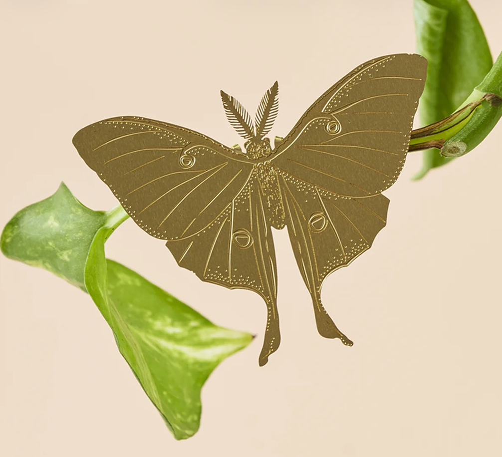 A metallic gold luna moth plant animal - a decorative piece with intricate wing patterns, shown attached to green leaves against a solid light beige background.