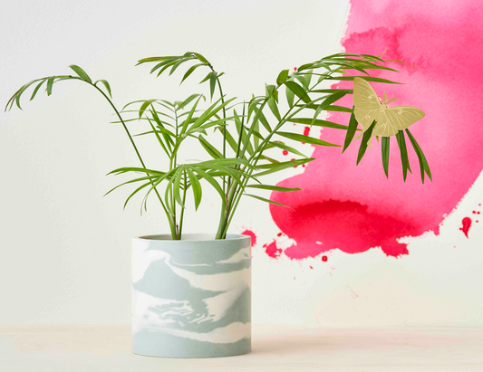 Luna Moth plant animal by Another Studio styled on a plant for Heart Gallery