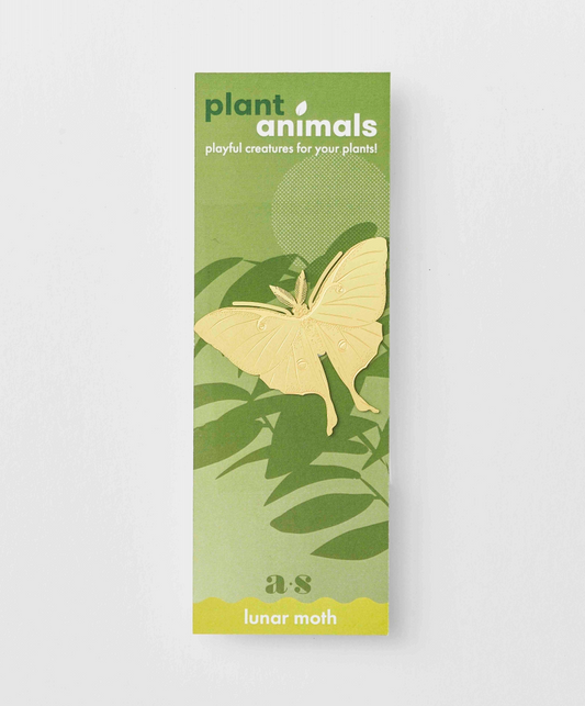 A plant-animals 'lunar moth'  displayed on its green packaging card against a clean white background.