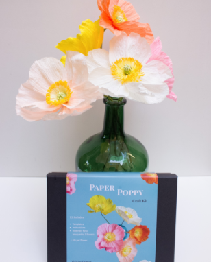 A craft kit box labeled 'Paper Poppy Craft Kit' in front of a green glass bottle vase holding colorful paper poppy flowers, on a light gray background.