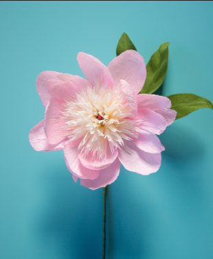 paper peony flower