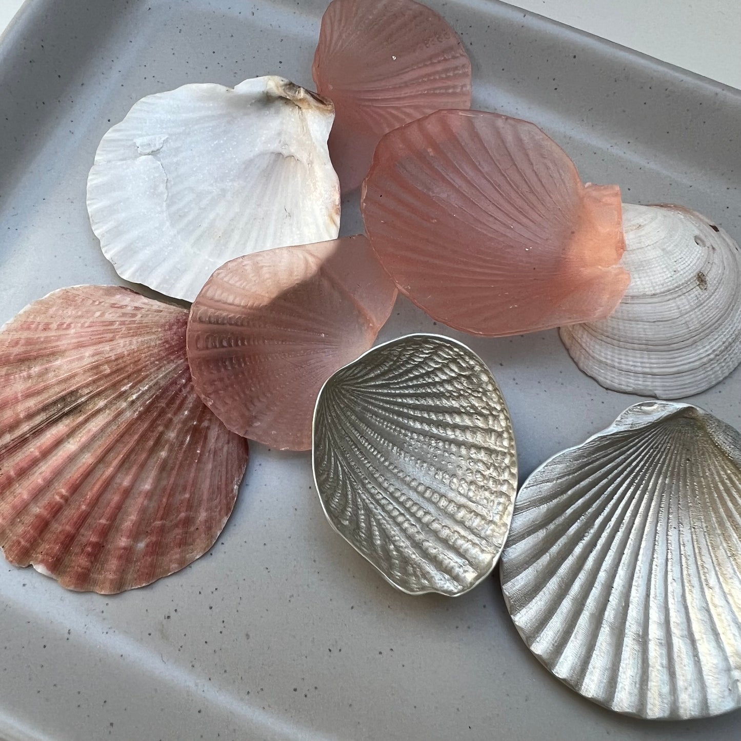 Collection of various seashells on a textured surface with wax moulds