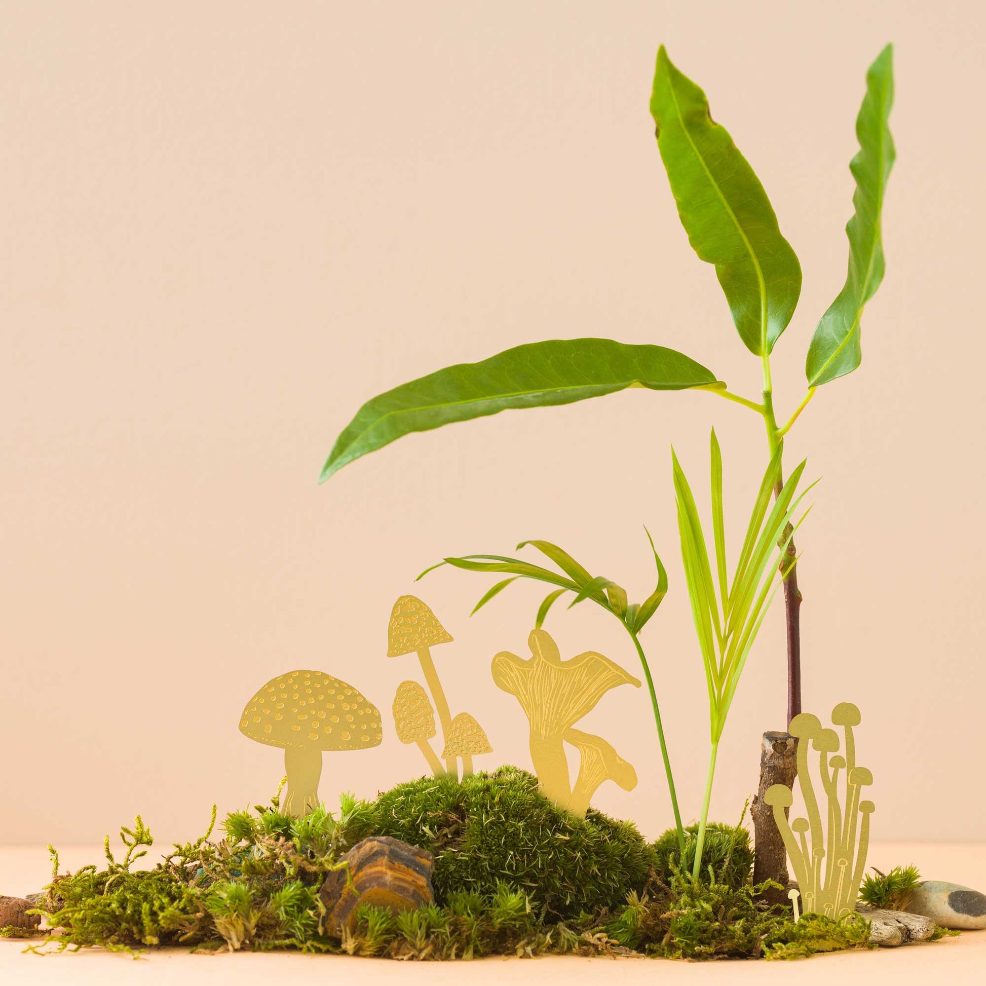 A set of brass mini mushrooms placed in a terrarium, with various types of mushrooms including Fly Agaric, Enoki, Inkcaps, and Chanterelle. Made by Another Studio in London for Heart Gallery