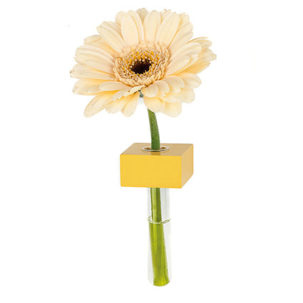 A small yellow wooden block vase with a glass insert, attached to a fridge magnet, holding a single flower.